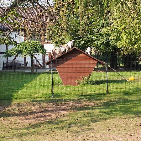 Gut Dankerode Daire Dankerode  Dış mekan fotoğraf