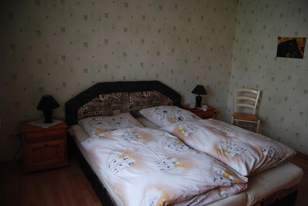 Gut Dankerode Daire Dankerode  Oda fotoğraf